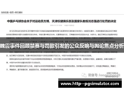 魏震事件回顾禁赛与罚款引发的公众反响与舆论焦点分析